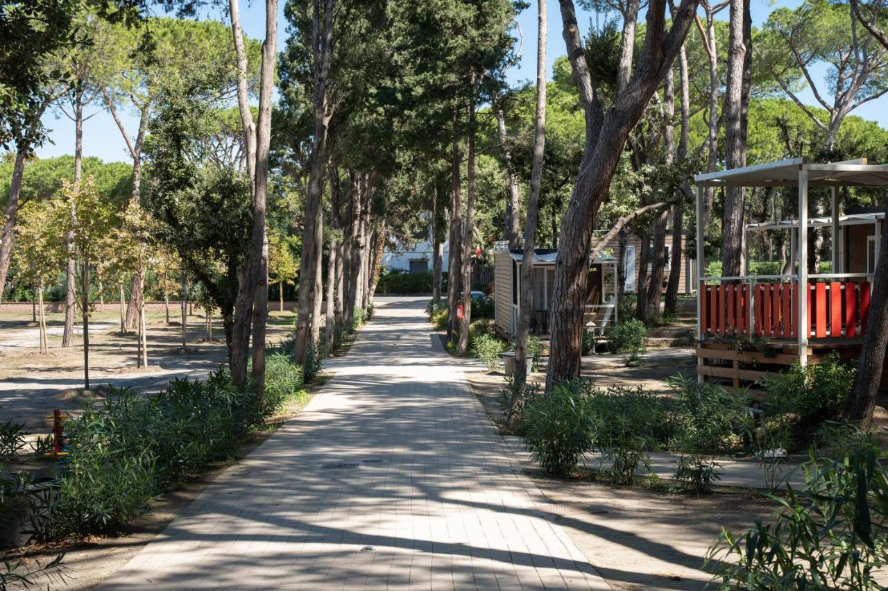 Camping Il Capannino Glamping Village Марина ди Бибона Екстериор снимка