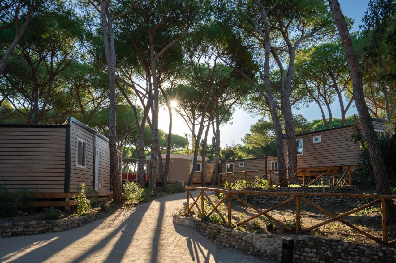 Camping Il Capannino Glamping Village Марина ди Бибона Екстериор снимка